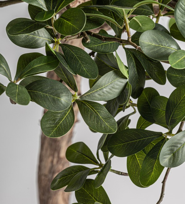 Искусственное растение FICUS 38081