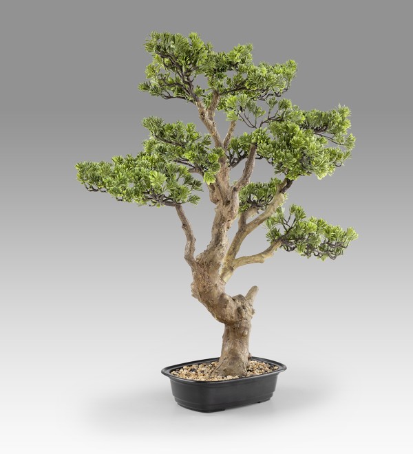 Sokan - bonsai 81cm Искусственное растение из 2 предметов