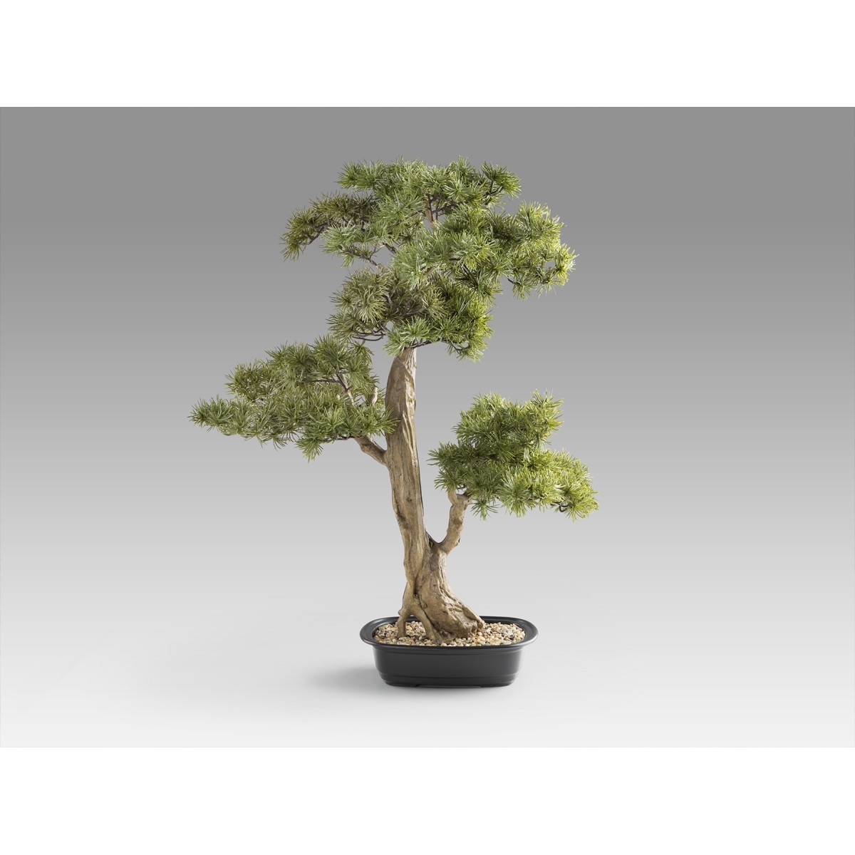Chokkan - bonsai 83cm Искусственное растение из 2 предметов