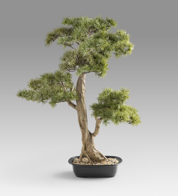 Chokkan - bonsai 83cm Искусственное растение из 2 предметов