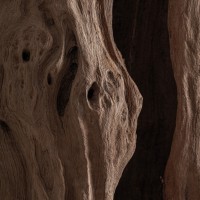 Напольная скульптура BALTO