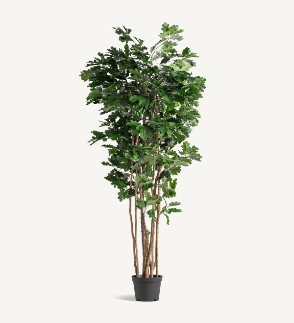 Искусственное растение ROBLE