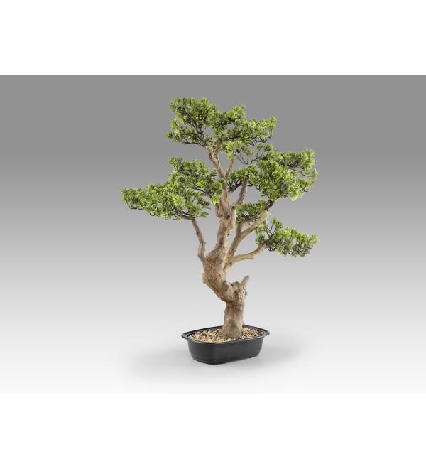 Sokan - bonsai 81cm Искусственное растение