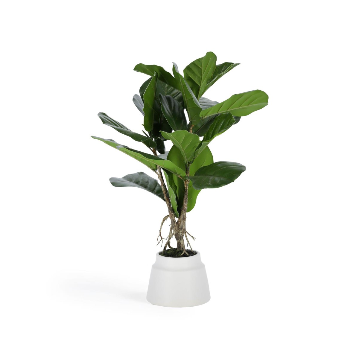 Flower Искусственное растение лирата 60 см