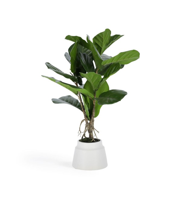 Flower Искусственное растение лирата 60 см