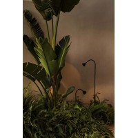 LILY 300 Уличный маяк на штыке черный LED 3W 2700K