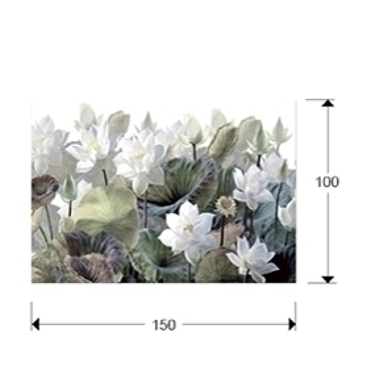 Фотография Nenufares 150x100 см