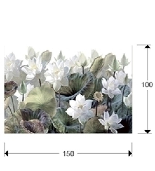 Фотография Nenufares 150x100 см