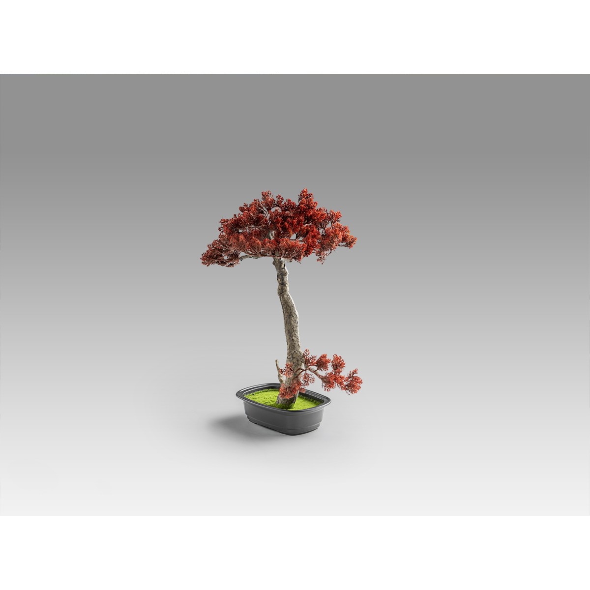 Bujin-hi bonsai 45cm набор из 2 предметов