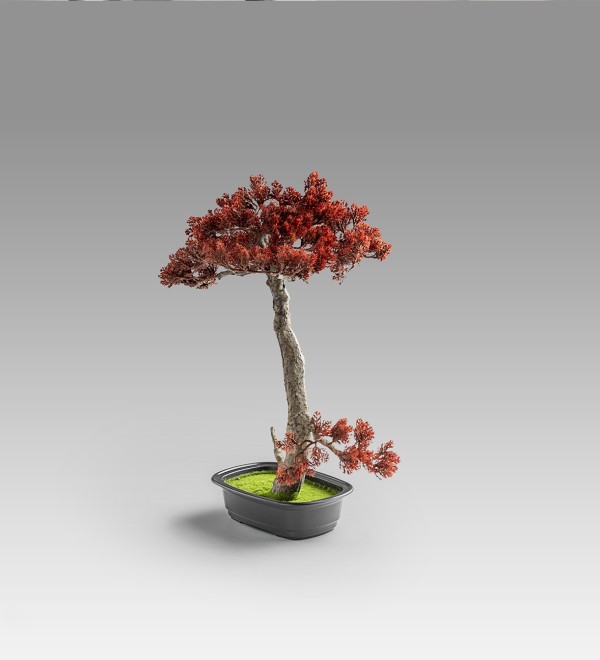 Bujin-hi bonsai 45cm набор из 2 предметов