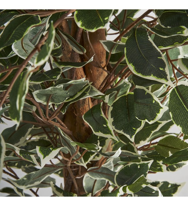 Искусственное растение FICUS