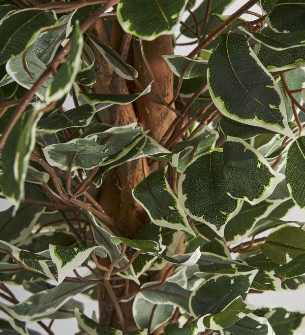 Искусственное растение FICUS