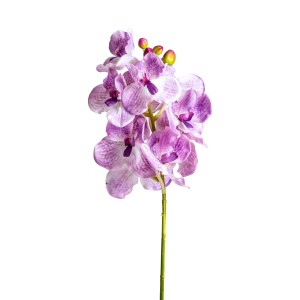 Цветок фиолетового цвета ORQUÍDEA