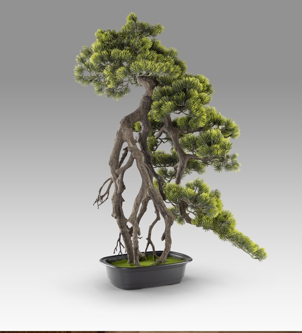 Kengai bonsai 74см Искусственное растение из 2 предметов
