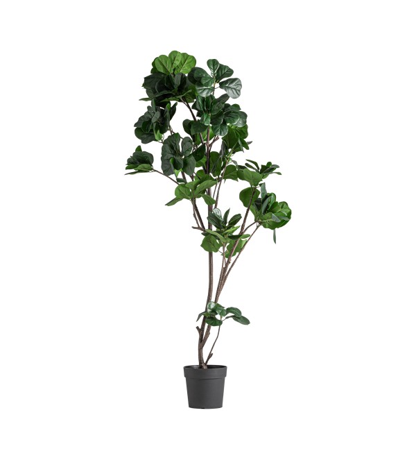Искусственное растение FICUS 37727