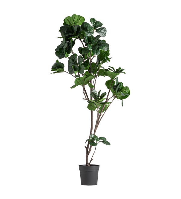 Искусственное растение FICUS 37727