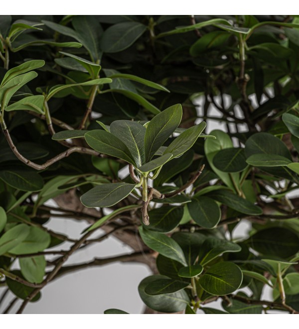 Искусственное растение FICUS 38081