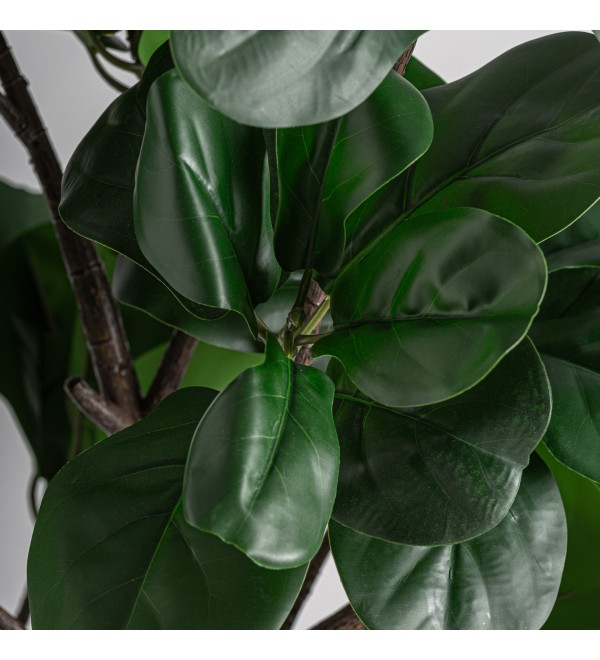 Искусственное растение FICUS 37727