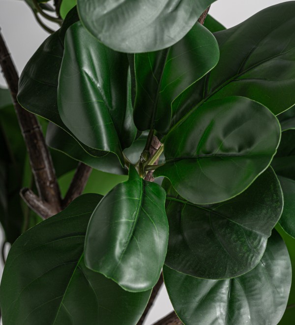 Искусственное растение FICUS 37727
