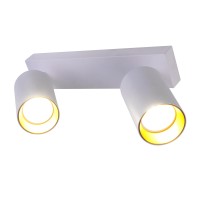 BR08084 Потолочный светильник-спот ARAS