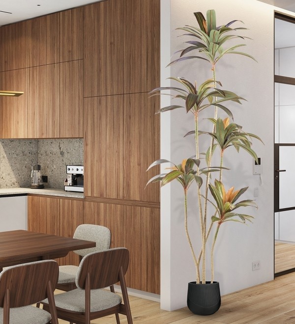 Dracena roja Искусственное растение H220