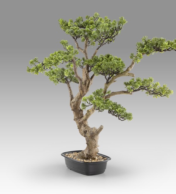 Sokan - bonsai 81cm Искусственное растение из 2 предметов