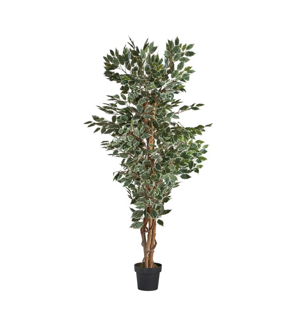 Искусственное растение FICUS