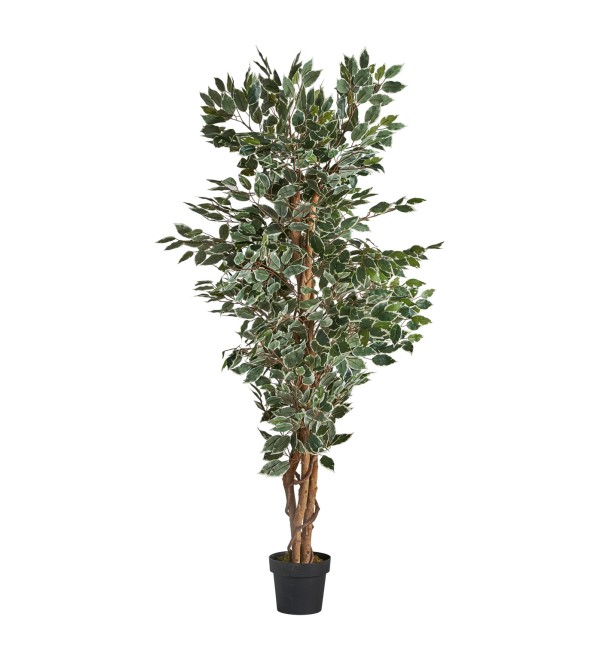Искусственное растение FICUS