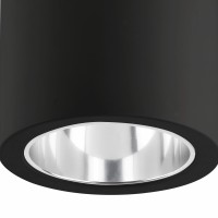Потолочный светильник Pote-1 черный 1L