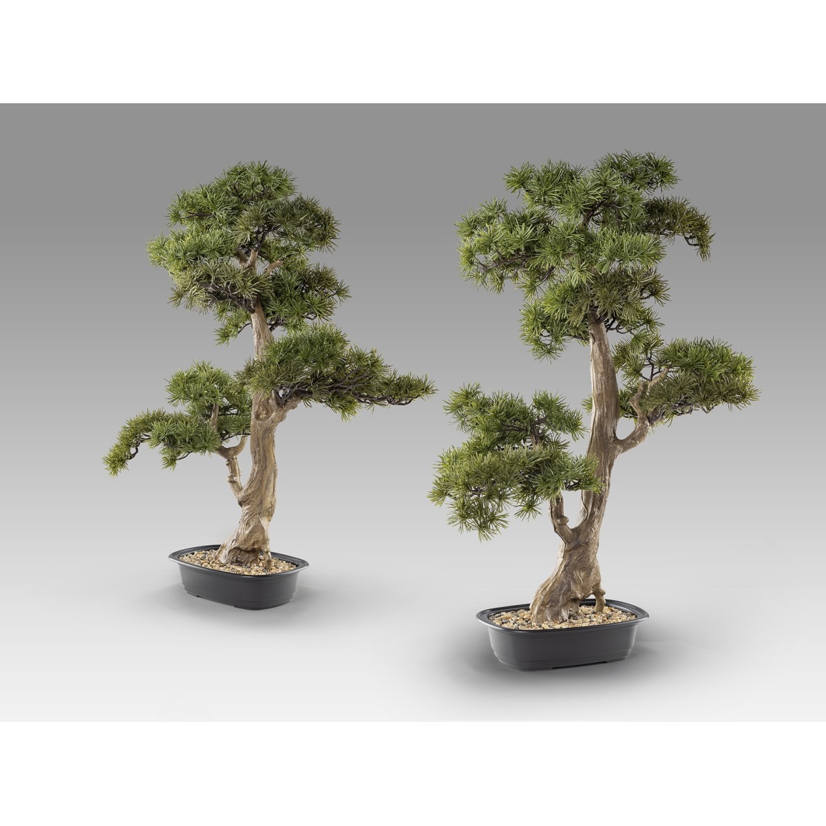 Chokkan - bonsai 83cm Искусственное растение из 2 предметов