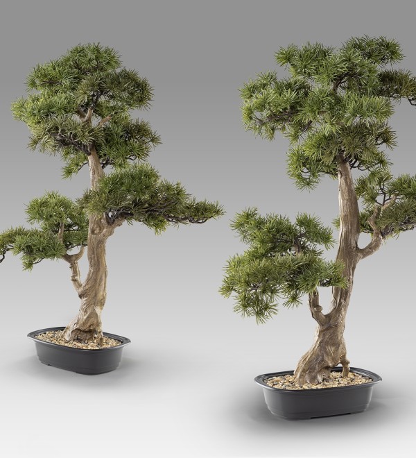 Chokkan - bonsai 83cm Искусственное растение из 2 предметов