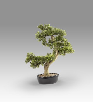 Bankan - bonsai 75cm Искусственное растение 
