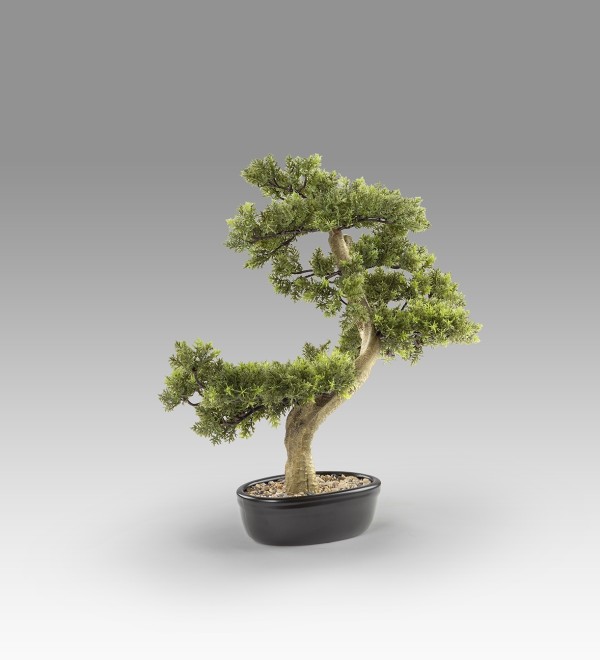 Bankan - bonsai 75cm Искусственное растение 