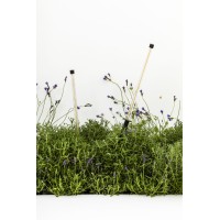 Лампа Bambou 1068 с шипом черная LED 8W 2200K