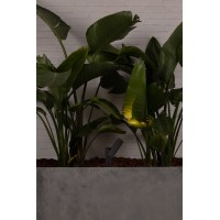 Темно-серая лампа Spy 145 на столбе  LED 6W 3000K 30°