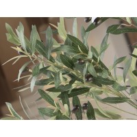 Olivo Искусственное растение H180