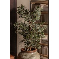 Искусственное растение FICUS