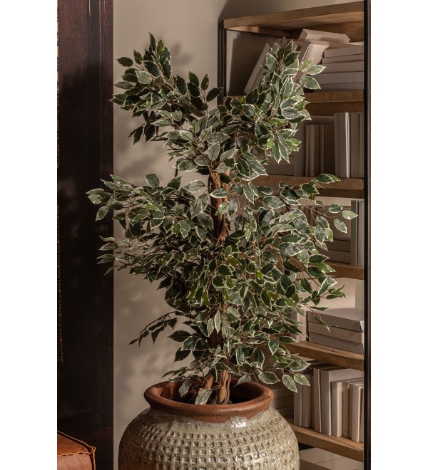 Искусственное растение FICUS