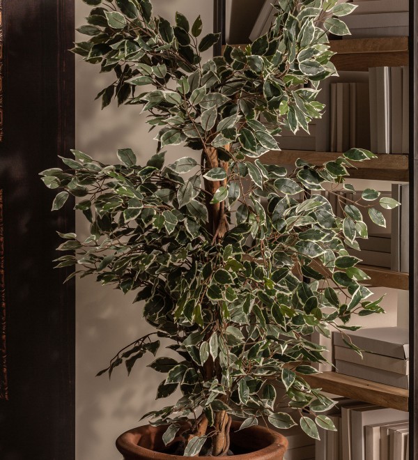 Искусственное растение FICUS