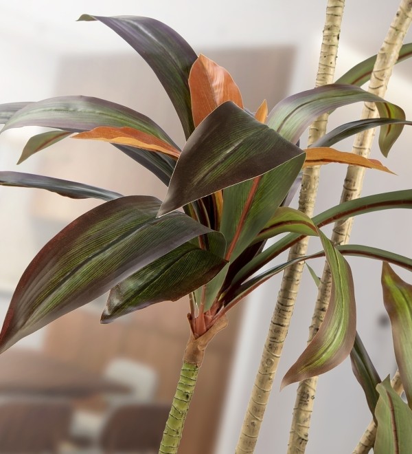 Dracena roja Искусственное растение H220