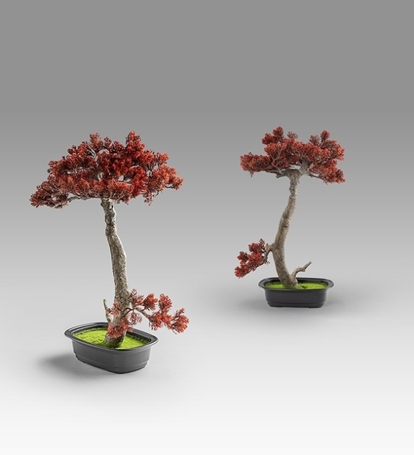 Bujin-hi bonsai 45cm набор из 2 предметов