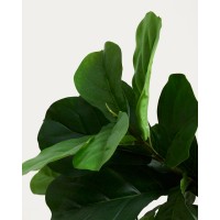 Flower Искусственное растение листовой скрипки 145см