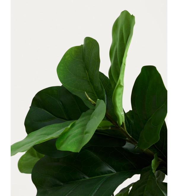 Flower Искусственное растение листовой скрипки 145см