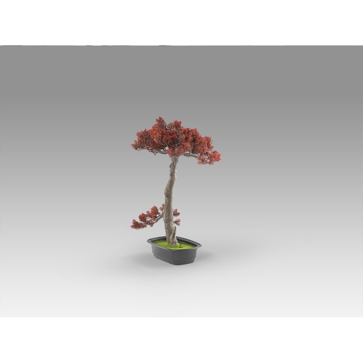 Bujin-hi bonsai 45cm набор из 2 предметов