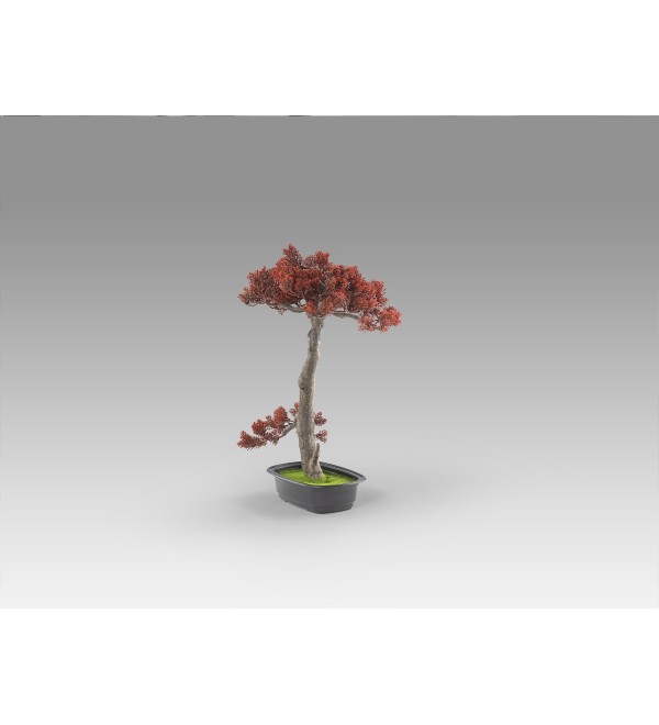 Bujin-hi bonsai 45cm набор из 2 предметов