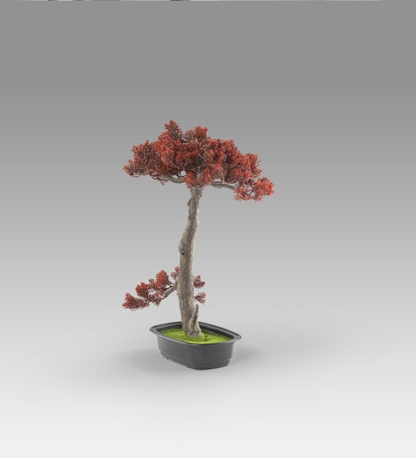 Bujin-hi bonsai 45cm набор из 2 предметов