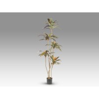 Dracena roja Искусственное растение H220