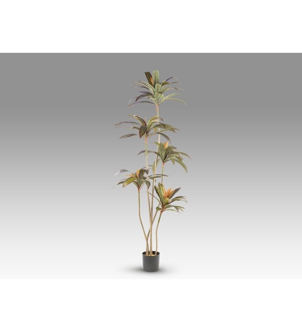 Dracena roja Искусственное растение H220