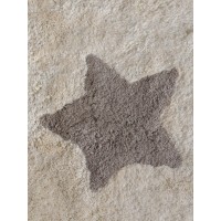 Подушка декоративная Stars Lillaland 40х40