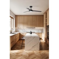 Потолочный вентилятор с освещением Barth 1320 мм черный 24W